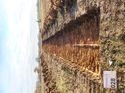 Thumbnail of Photo 230819 east view of trench 28 taken at Hunts Green Farm