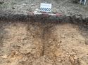 Thumbnail of Photo 230826 north facing section of ditch [900902]