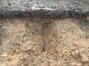 Thumbnail of Photo 230827 north facing section of ditch [900902]