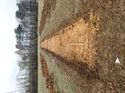 Thumbnail of Photo 230845 west view of trench 30 taken at Hunts Green Farm