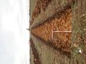 Thumbnail of Photo 230853 south view of trench 17 taken at Hunts Green Farm