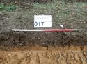 Thumbnail of Photo 230854 west facing representative section of trench 17 taken at Hunts Green Farm