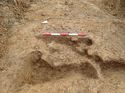 Thumbnail of Photo 230857 east facing section of rooting [903110] taken at Hunts Green Farm