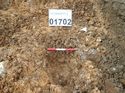 Thumbnail of Photo 230864 southeast facing section of natural feature [901702] taken at Hunts Green Farm