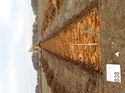 Thumbnail of Photo 230866 north view of trench 38 taken at Hunts Green Farm