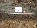 Thumbnail of Photo 230870 west facing representative section of trench 38 taken at Hunts Green Farm