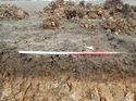 Thumbnail of Photo 230871 west facing representative section of trench 38 taken at Hunts Green Farm