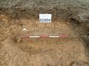 Thumbnail of Photo 230872 south facing section of natural feature [902804] taken at Hunts Green Farm