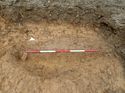 Thumbnail of Photo 230873 south facing section of natural feature [902804] taken at Hunts Green Farm