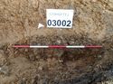 Thumbnail of Photo 230874 south facing section of natural feature [902804] taken at Hunts Green Farm