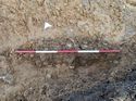 Thumbnail of Photo 230876 south facing section of natural feature [902804] taken at Hunts Green Farm