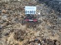 Thumbnail of Photo 230877 south facing section of geological deposit [901802] taken at Hunts Green Farm