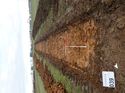 Thumbnail of Photo 230884 southeast view of trench 39 taken at Hunts Green Farm