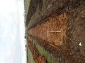 Thumbnail of Photo 230885 southeast view of trench 39 taken at Hunts Green Farm