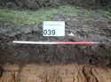 Thumbnail of Photo 230886 northeast facing representative section of trench 39 taken at Hunts Green Farm