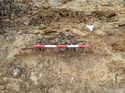 Thumbnail of Photo 240902north facing section of natural feature [901805] taken at Hunts Green Farm