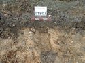 Thumbnail of Photo 240903 east facing section ditch [901807] taken at Hunts Green Farm