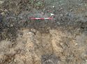 Thumbnail of Photo 240904 east facing section ditch [901807] taken at Hunts Green Farm