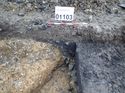 Thumbnail of Photo 240909 north facing section pit [901103] taken at Hunts Green Farm