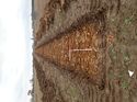 Thumbnail of Photo 240913 east view of trench 33 taken at Hunts Green Farm