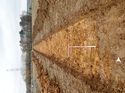 Thumbnail of Photo 240915 west view of trench 33 taken at Hunts Green Farm