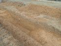 Thumbnail of Photo 240929 southwest facing section of ditch [903112]taken at Hunts Green Farm