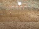 Thumbnail of Photo 240930 southwest facing section of ditch [903112]taken at Hunts Green Farm