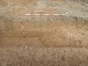 Thumbnail of Photo 240931 southwest facing section of ditch [903112]taken at Hunts Green Farm