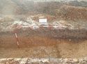 Thumbnail of Photo 240944 north facing section of ditch [902504] taken at Hunts Green Farm