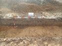Thumbnail of Photo 240946 north facing section of ditch [902502] taken at Hunts Green Farm