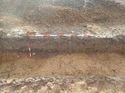 Thumbnail of Photo 240947 north facing section of ditch [902502] taken at Hunts Green Farm