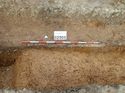 Thumbnail of Photo 240967 south facing section of ditch recut [902508] taken at Hunts Green Farm view 7