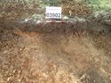 Thumbnail of Photo 240978 east facing section of ditch [903902] taken at Hunts Green Farm