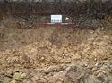 Thumbnail of Photo 240982 east facing section of rooting [903904] taken at Hunts Green Farm
