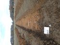 Thumbnail of Photo 249086 north view of trench 17 taken at Hunts Green Farm