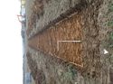 Thumbnail of Photo 240989 south view of trench 17 taken at Hunts Green Farm