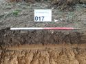 Thumbnail of Photo 240990east facing representative section of trench 17 taken at Hunts Green Farm