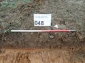Thumbnail of Photo 241006 southeast facing representative section of trench 48 taken at Hunts Green Farm