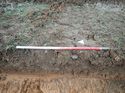 Thumbnail of Photo 241007 southeast facing representative section of trench 48 taken at Hunts Green Farm