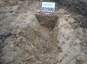 Thumbnail of Photo 251014 northwest facing section of rooting [903506] taken at Hunts Green Farm