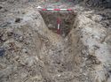Thumbnail of Photo 251016 northwest facing section of rooting [903506] taken at Hunts Green Farm