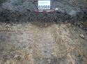 Thumbnail of Photo 251017 south facing section of ditch [903508] taken at Hunts Green Farm