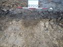 Thumbnail of Photo 251024 south facing section of ditch terminus [903512] taken at Hunts Green Farm