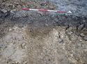 Thumbnail of Photo 251025 south facing section of ditch terminus [903512] taken at Hunts Green Farm