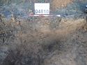 Thumbnail of Photo 251032 southeast facing section ditch [904802] taken at Hunts Green Farm