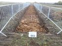 Thumbnail of Photo 261046 southeast view of trench 3 taken at Hunts green Farm