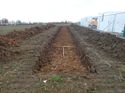 Thumbnail of Photo 261050 northeast view of trench 51 taken at Hunts green Farm