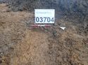 Thumbnail of Photo 261057 southwest facing section natural feature [903204] taken at Hunts Green Farm