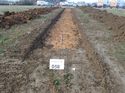 Thumbnail of Photo 261063 northwest view of trench 58 taken at Hunts green Farm