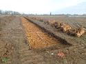 Thumbnail of Photo 261074 northeast view of trench 63 taken at Hunts green Farm